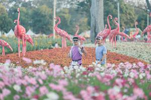 BIB: 
                            <button type="button" onclick="openModal(27344011)" class="btn btn-primary btn-sm float-right btn-popup" data-toggle="modal" data-target=".modal-high-quality">
                        <i class="fas fa-shopping-cart"></i> Add to Cart
                    </button>
                                            <button type="button" onclick="isThisMe(27344011, true)" class="btn btn-success btn-sm float-right btn-popup btn-isme hidden" data-toggle="tooltip" data-placement="bottom" title="นี่คือรูปของคุณใช่ไหม คลิกที่นี่เพื่อเอาเข้าอัลบั้ม">
                        <i class="fas fa-plus"></i> Add to album
                    </button>
                    <button type="button" onclick="isThisMe(27344011, false)" class="btn btn-warning btn-sm float-right btn-popup btn-isnotme hidden">
                        <i class="fas fa-ban"></i> Remove from album
                    </button>